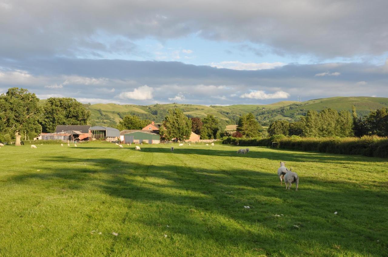 Mid Wales Arts B&B Caersws Dış mekan fotoğraf